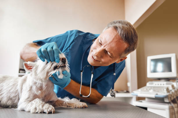 Best Emergency Wisdom Teeth Removal in Coram, NY